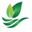 Public Pharma (Pvt) Ltd Pakistan logo